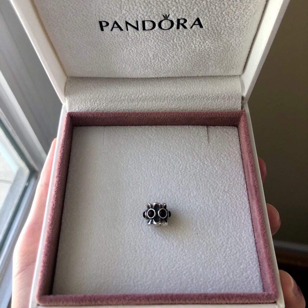 Pandora Forget Me Not Onyx Bead